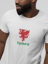 Cardiff Unisex T-Shirt