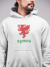 Cardiff Unisex Hoodie