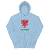 Cardiff Unisex Hoodie