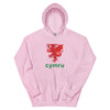 Cardiff Unisex Hoodie