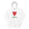 Cardiff Unisex Hoodie